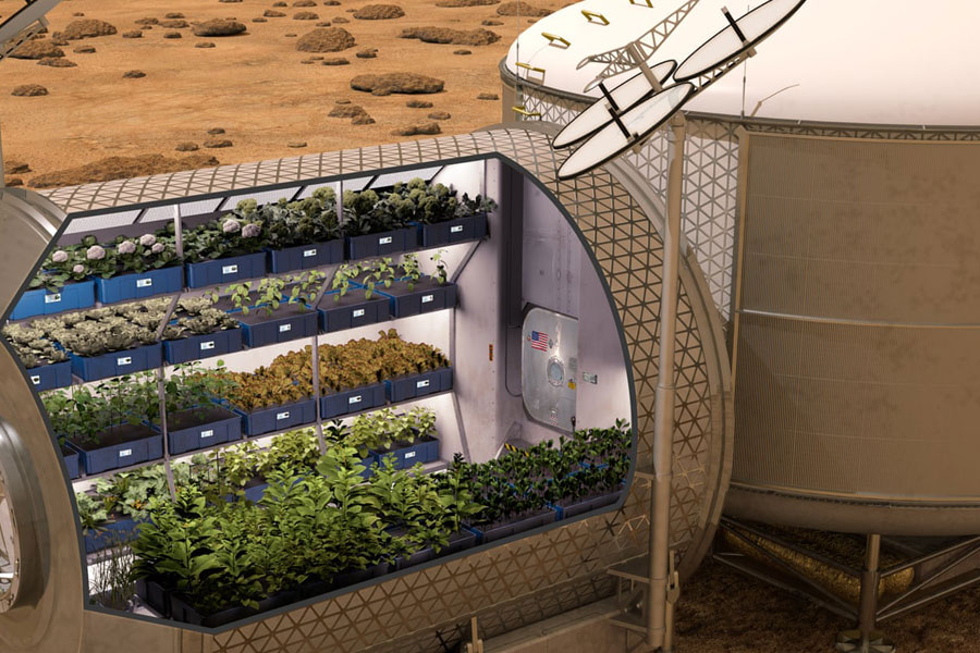 UK Space Agency Experiment Proves that Growing Food on Other Planets is Possible