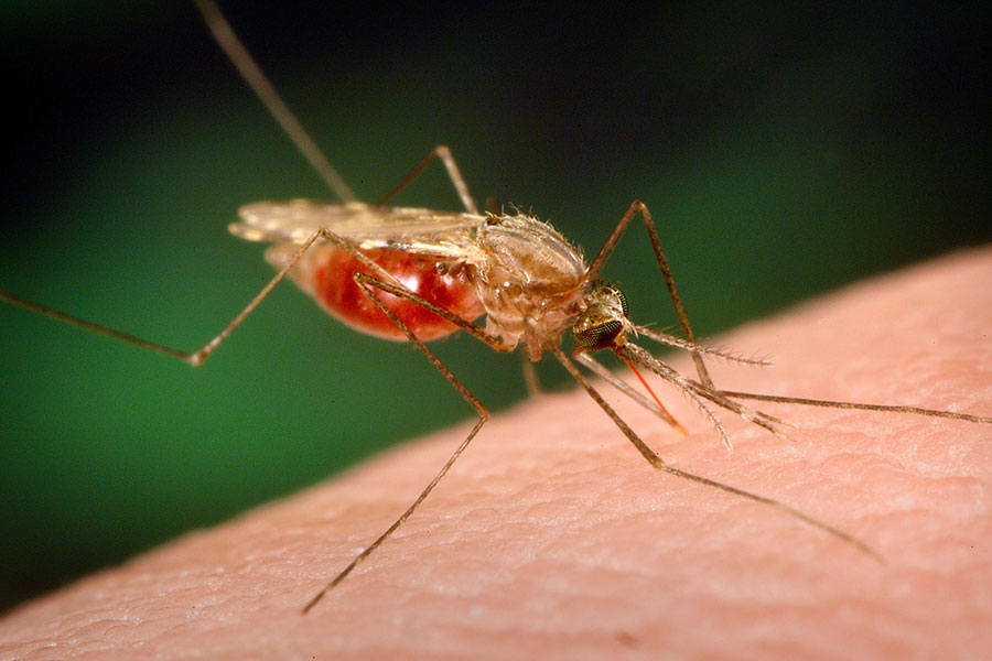 UK Space Agency funds DETECT, satellites monitoring project to fight malaria