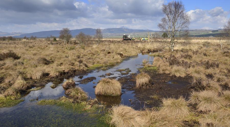 Monitoring peat bogs from space is crucial  for Scotland