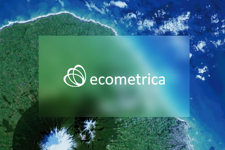 Ecometrica Fights Deforestation