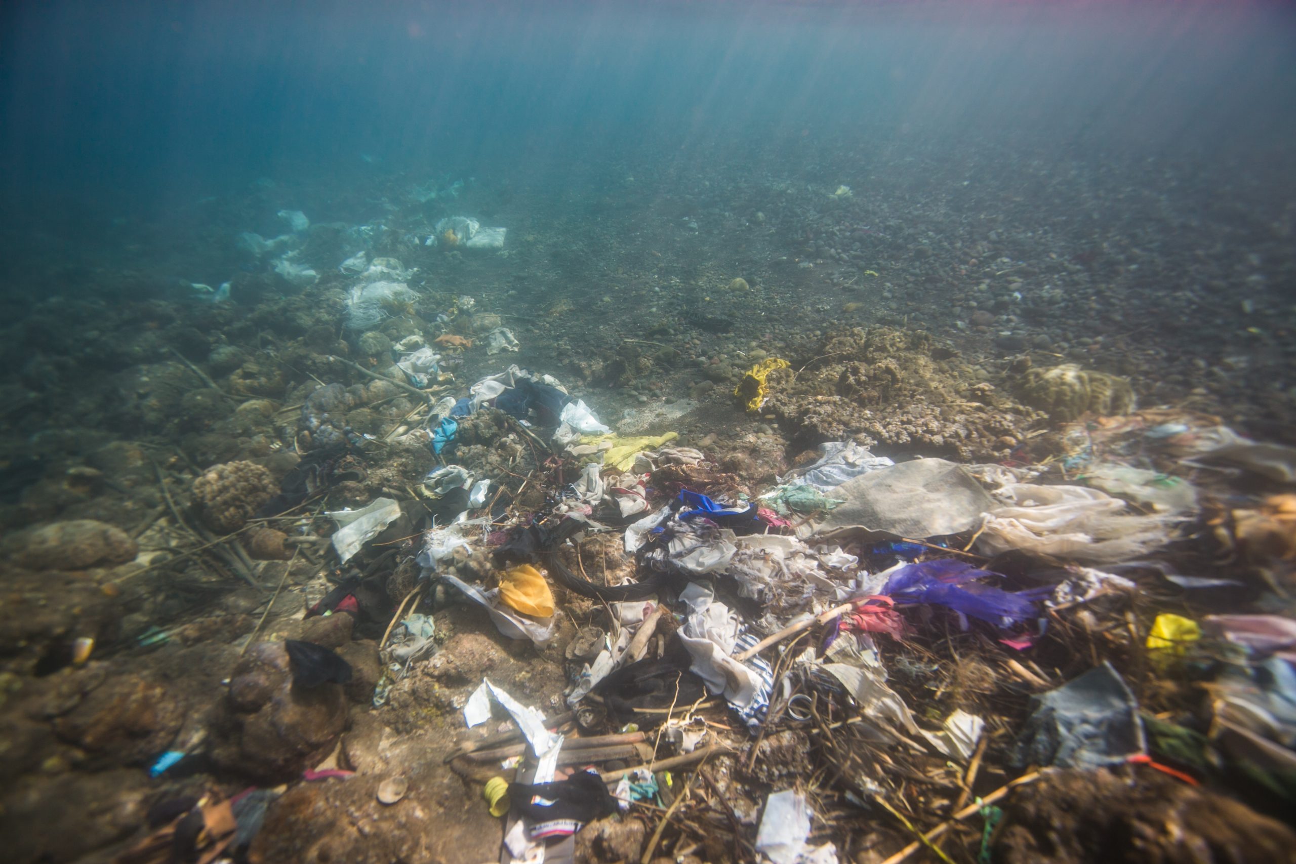 ESA Works on a Study to Track Plastic Pollution in Marine Areas Using Satellites