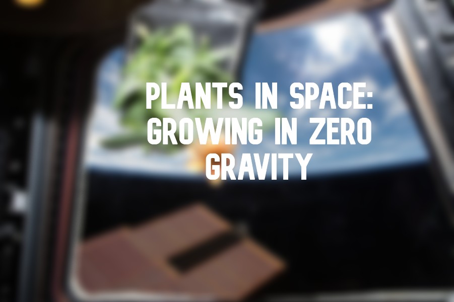 Plants in Space: Growing in zero gravity