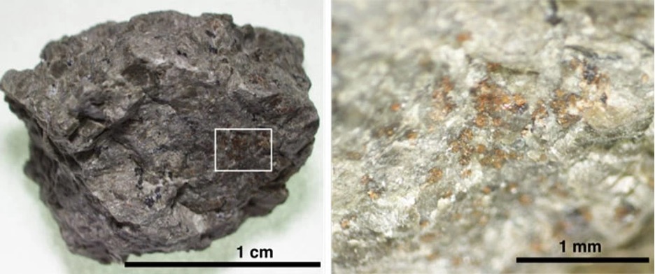 Evidence of alien life on meteorites