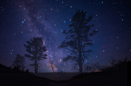 2025 Lyrid Meteor Shower – When and How to See It Best This April