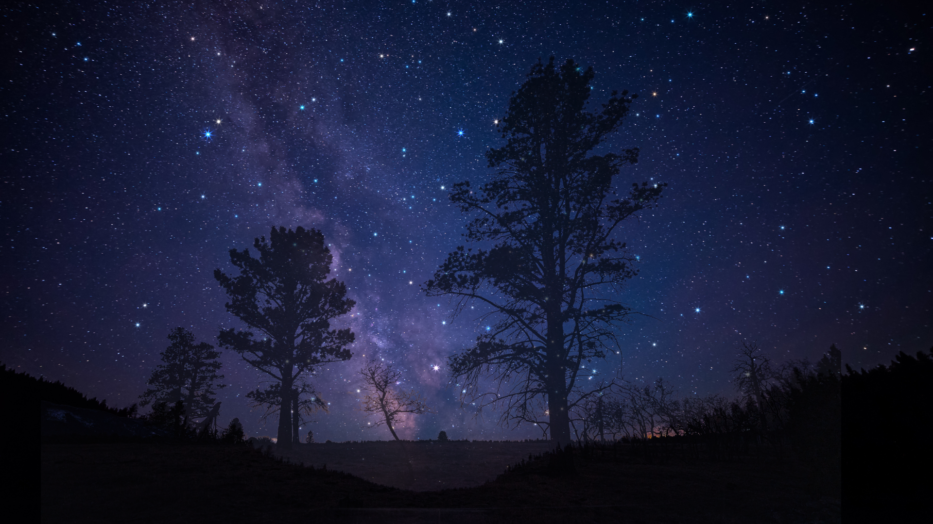 Lyrid Meteor Shower – How to See It This April?