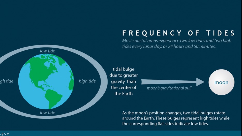 Frequency of tides