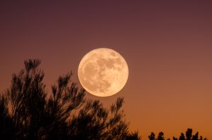 Harvest Supermoon 2023: Don’t Miss The Full Moon This September