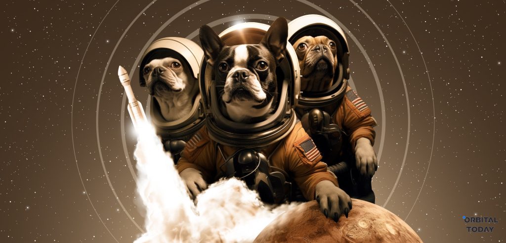 dogs space squad