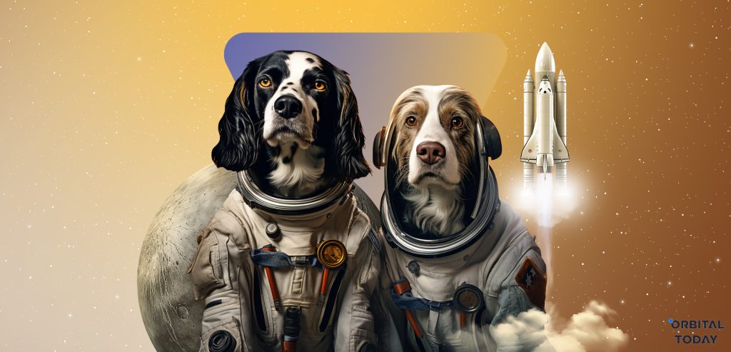 dog astronauts