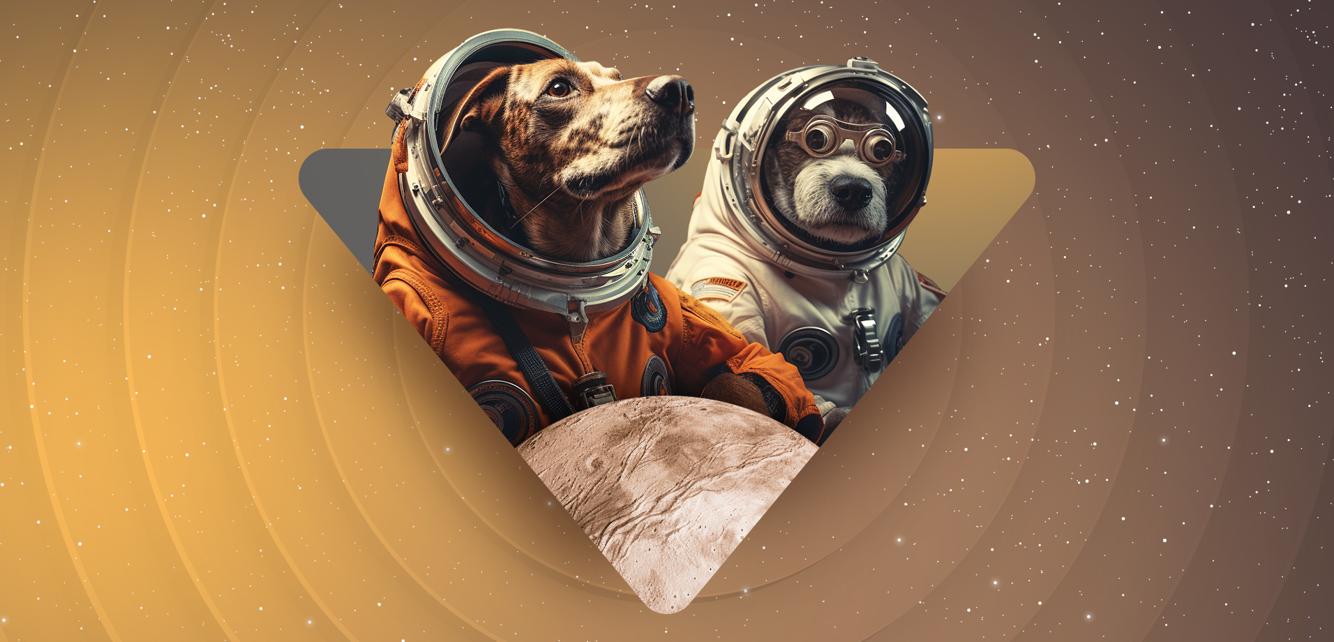 The first dog in space and all that followed: the touching story of four-legged astronauts