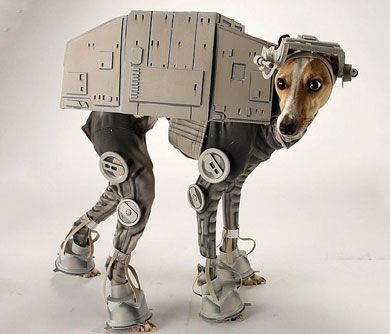 Space Costume Ideas for Dog