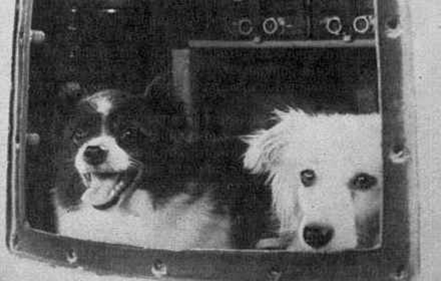 Tsygan and Dezik, dogs sent to suborbit