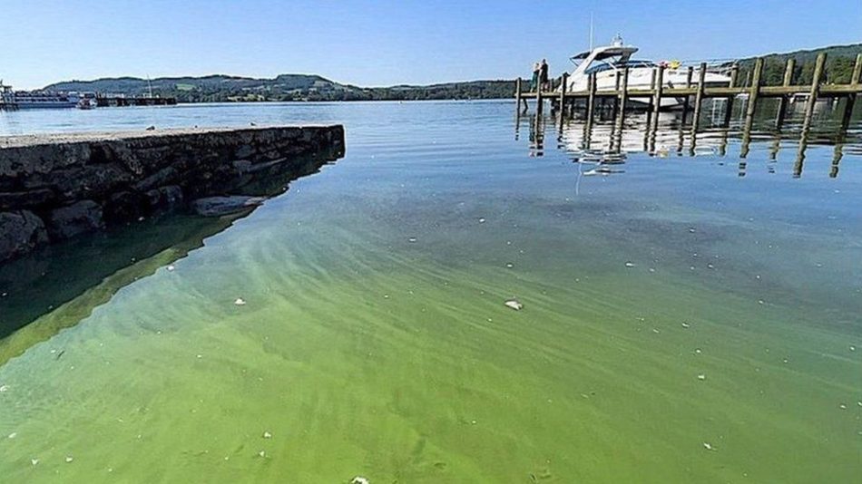Satellites to help track toxic algae turning Windermere lake green