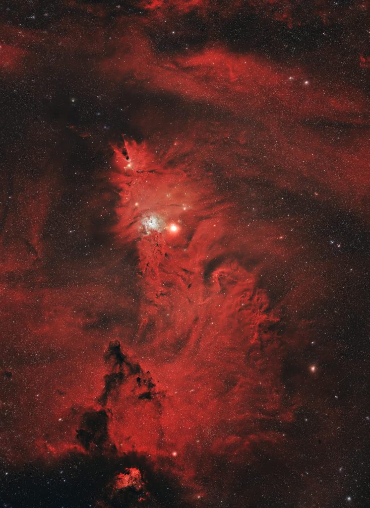 Donald Emmel’s Christmas Tree Nebula
