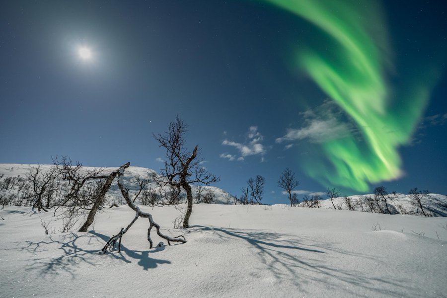 Green-row aurora meets bright sun in Max Wernerson's image