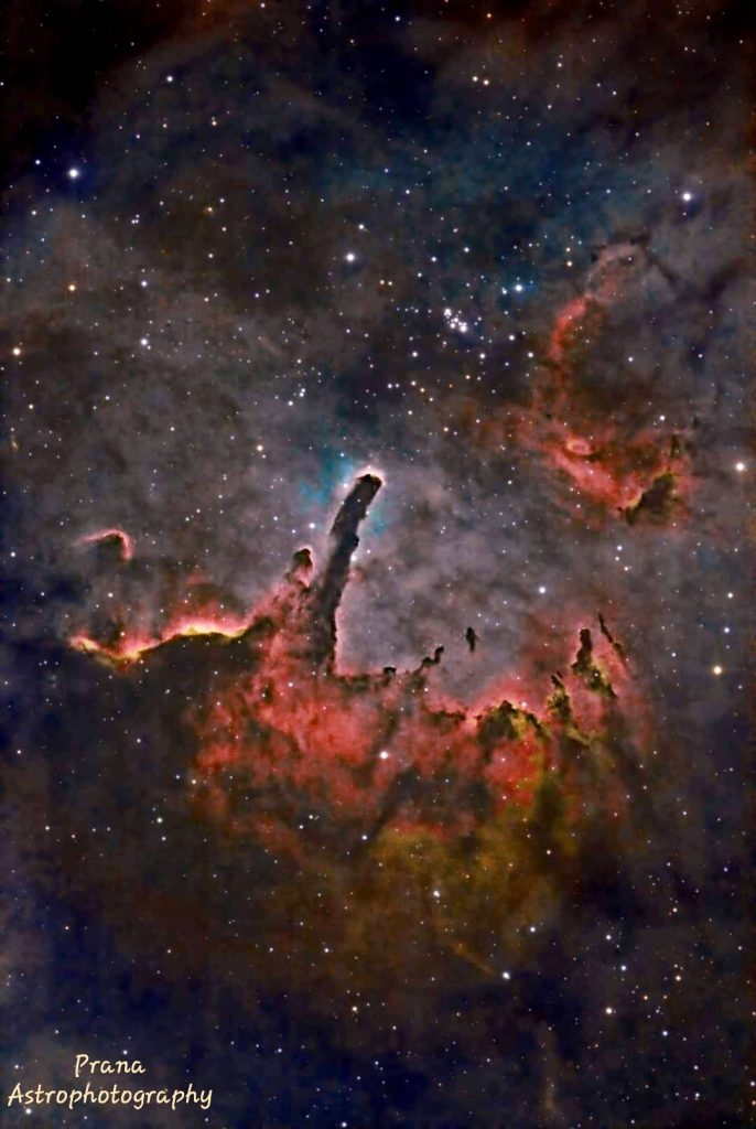 The Vulpecula Nebula by Devand and Judy Prana