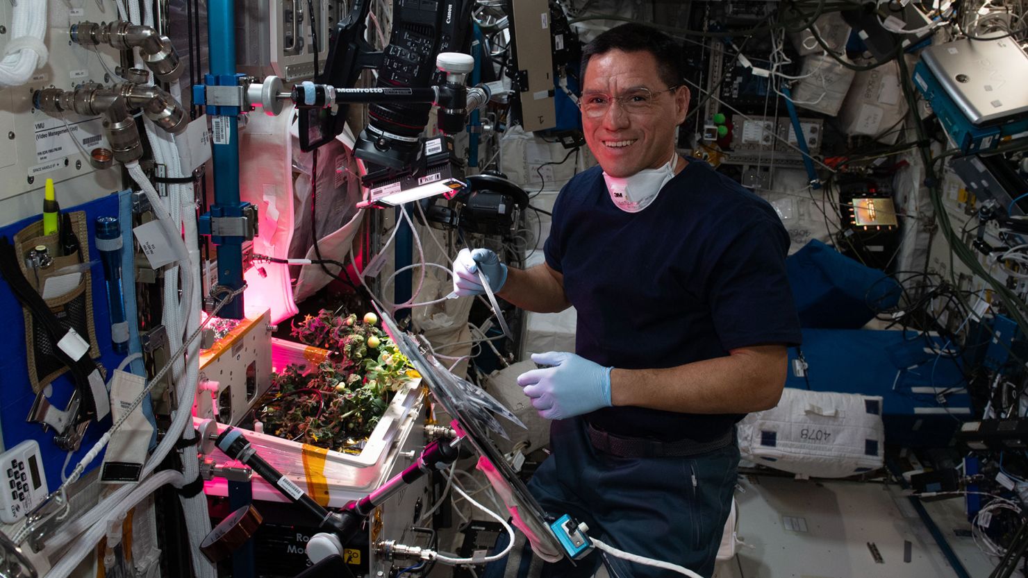 ISS Tomatoes Experiment Accidentally Extended