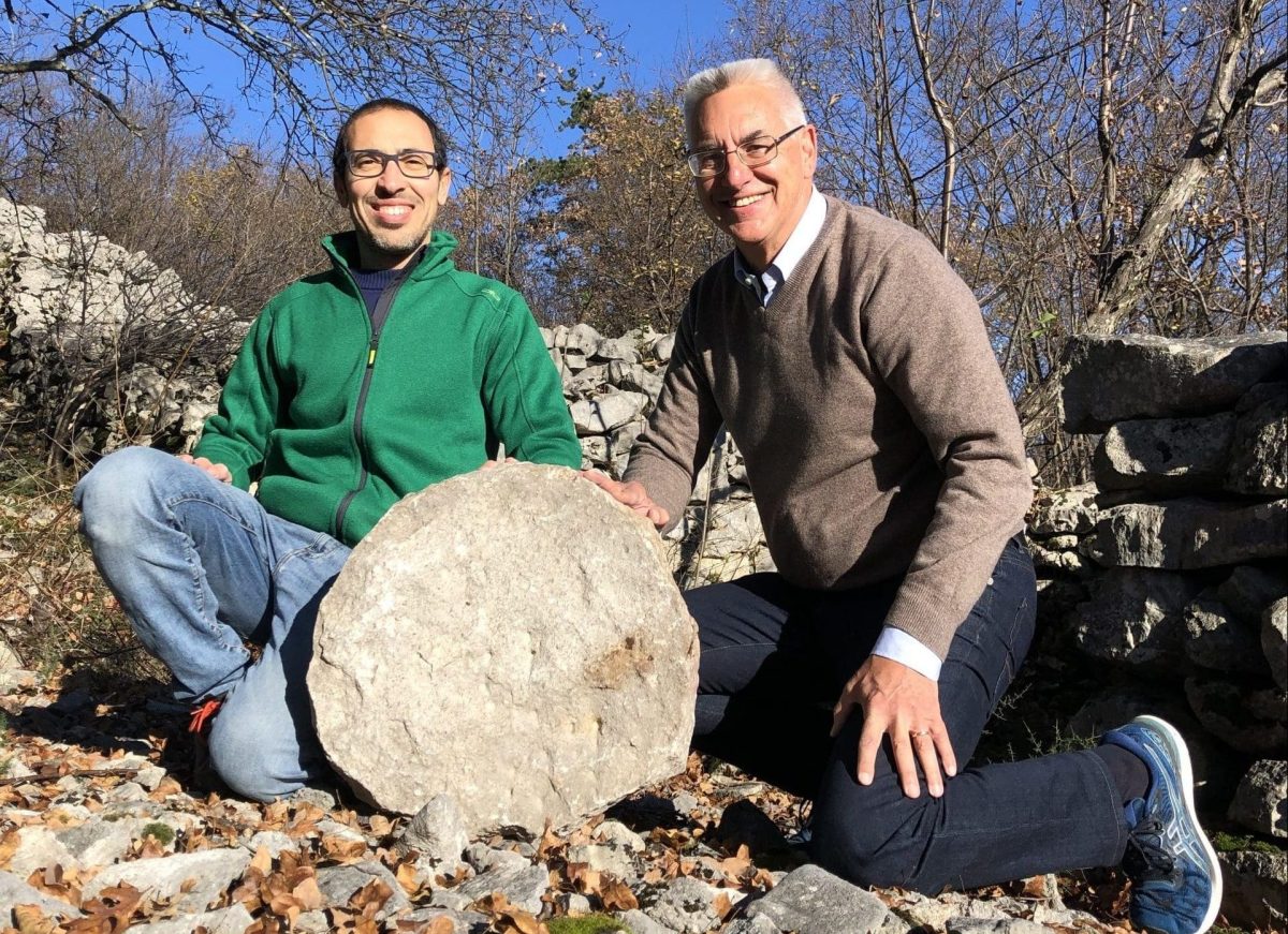 Ancient Carvings on Disk in Italy May be a Star Map