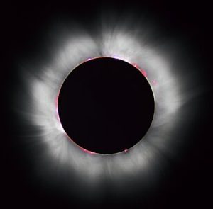 Fly Me to the Eclipse: Delta’s Special Flight for Total Solar Eclipse in April!