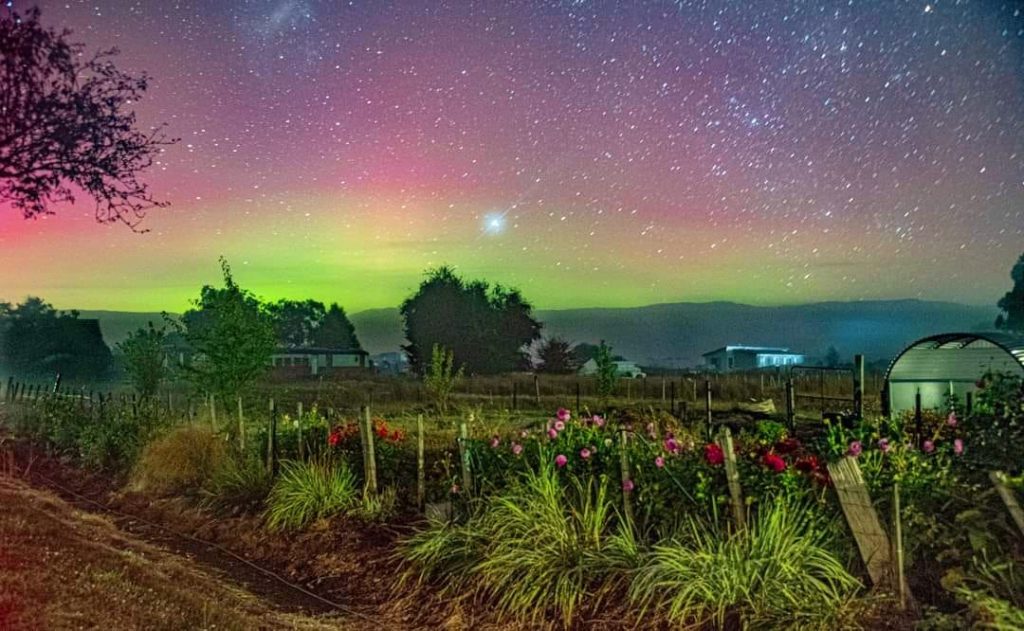 Aurora and flowers