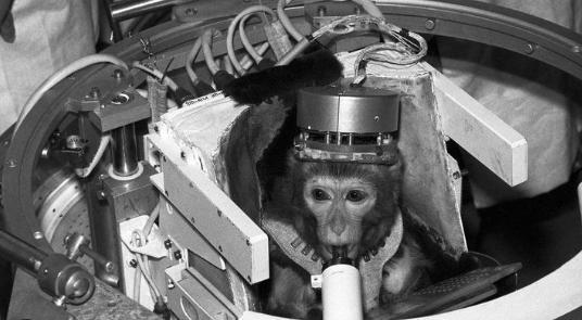 the first monkey astronaut
