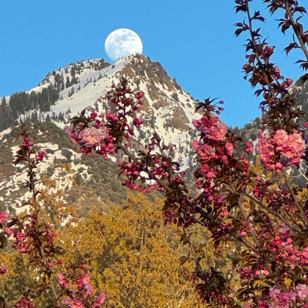 Pink Moon is on its way above the mountains