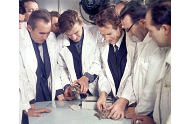 Soviet scientists examine two steppe tortoises