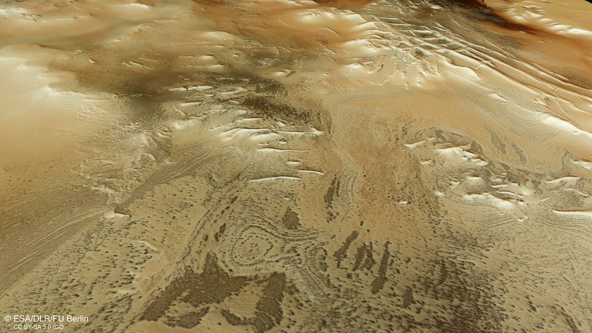 New Satellite Images Reveal Hundreds Of Dark “Spiders” On Mars’ Inka City: Are They Real?