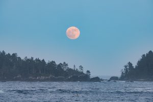 May’s Full Moon Is Blooming: Best Photos Of Flower Moon You Don’t Want to Miss