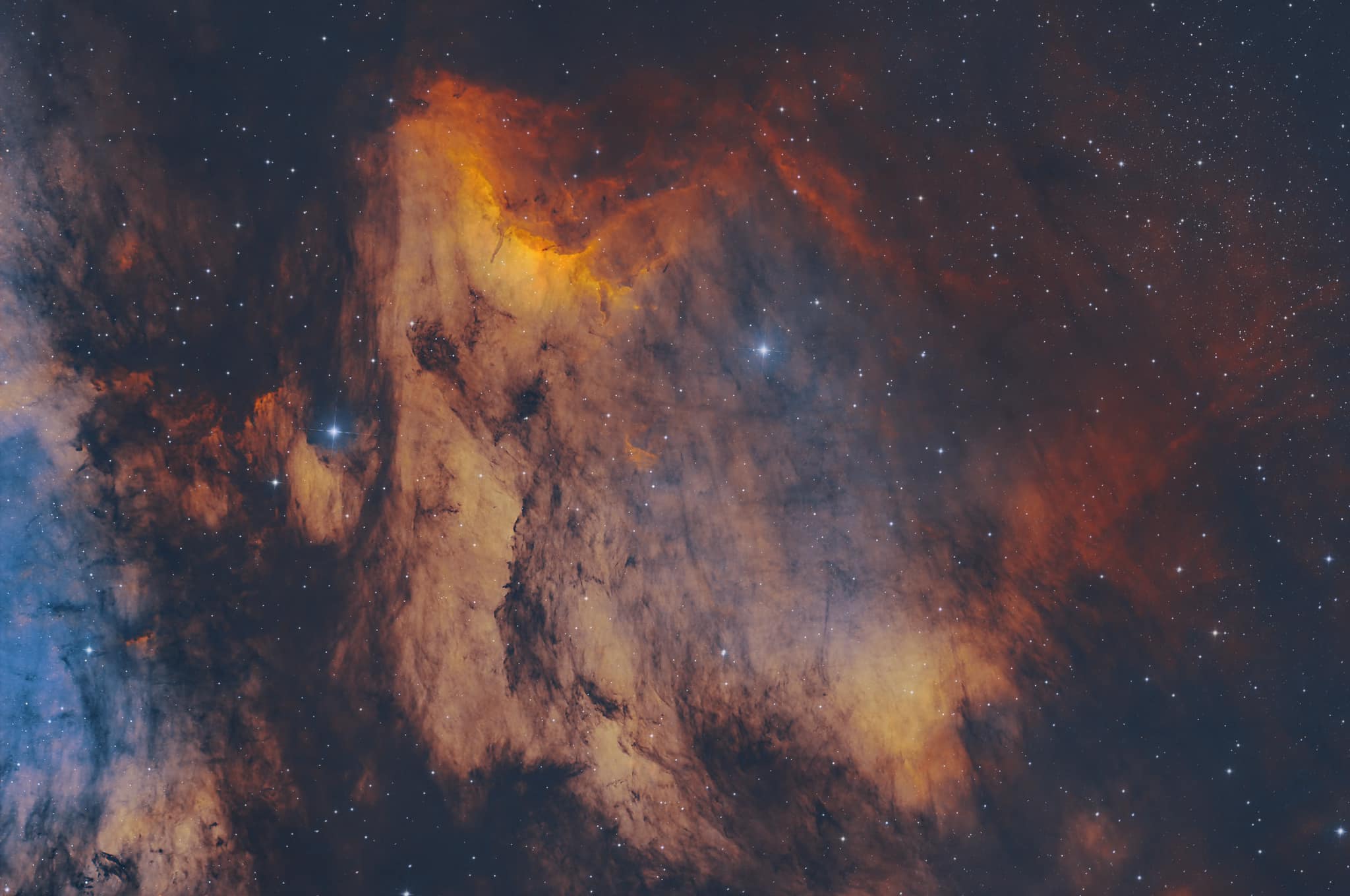Best Astrophotos Of Last Week: Pelican Nebula, Milky Way, And More [31 May-6 June]