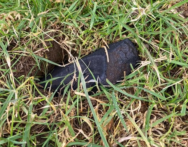 Space Rock Alert! Help Find a Meteorite in Staffordshire