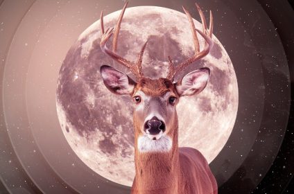 Buck Moon Astrology: How To Prepare Yourself For The Full Moon In July 2025