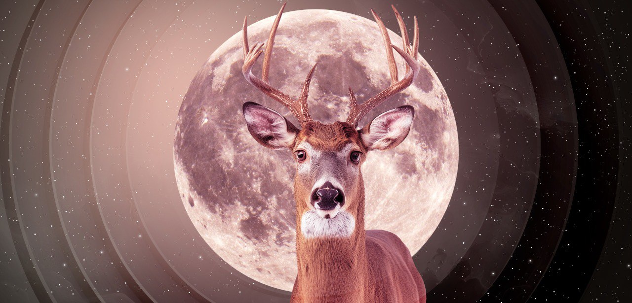 Buck Moon Astrology: How To Prepare Yourself For The Full Moon In July 2024