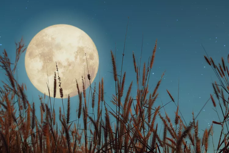 Full Moon in September 2024 the meaning of the Harvest Moon Orbital