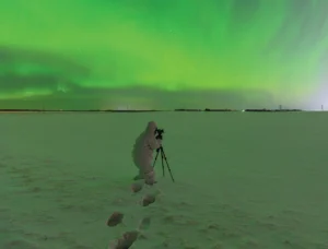 Aurorasaurus Project: Observe Northern Lights Around The World For NASA