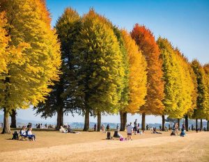 When Will Indian Summer Arrive In the UK in 2024? The Science Behind This Autumn Phenomenon