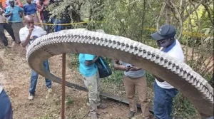 Crash Landing From Space: Rare Space Debris Reentry Hits Kenyan Village 