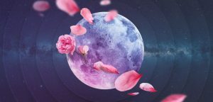 Pink Moon in 2025: Date, Meaning, Folklore Of the April’s Full Moon