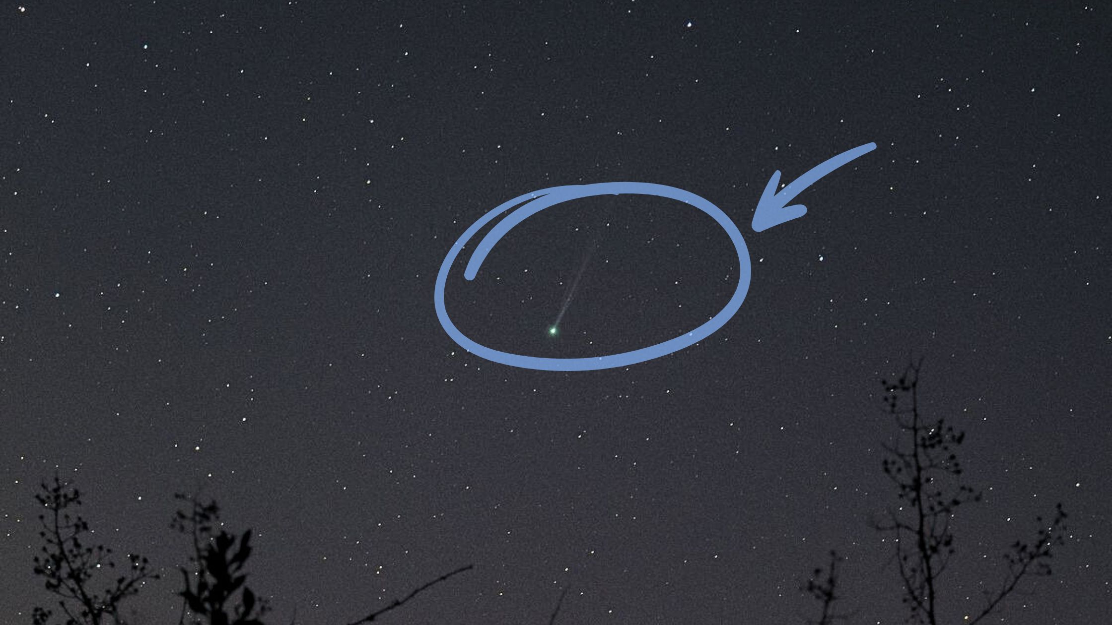 Meet Comet C/2025 F2 (SWAN): A New Celestial Visitor Captured in the UK Meet Comet C/2025 F2 (SWAN): A New Celestial Visitor Captured in the UK