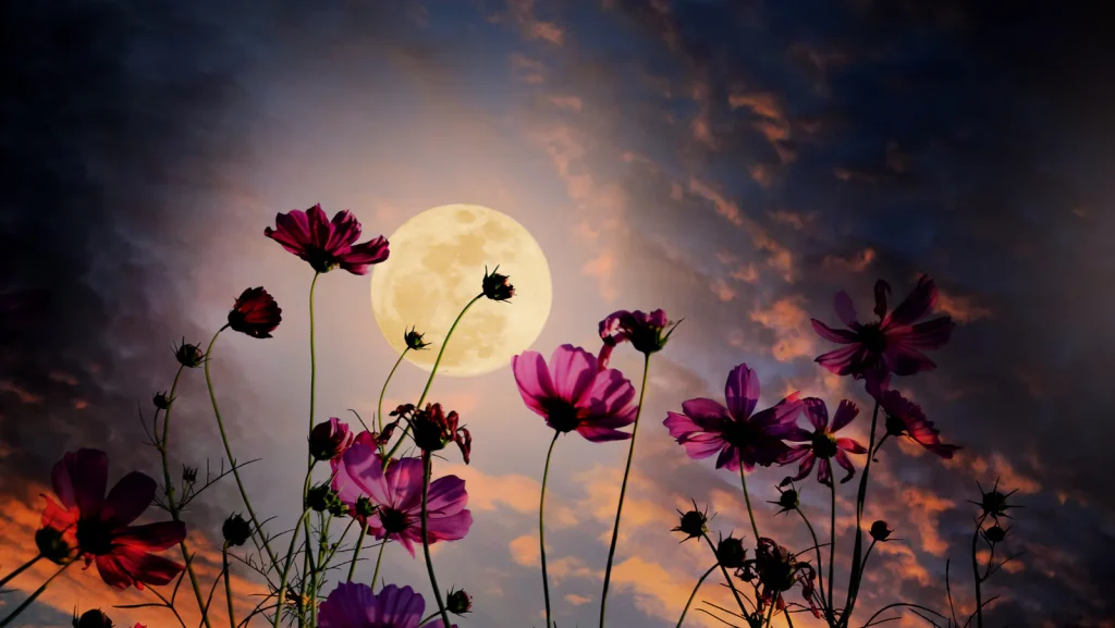 Flower moon