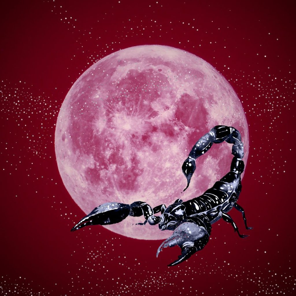Flower Moon in Scorpio