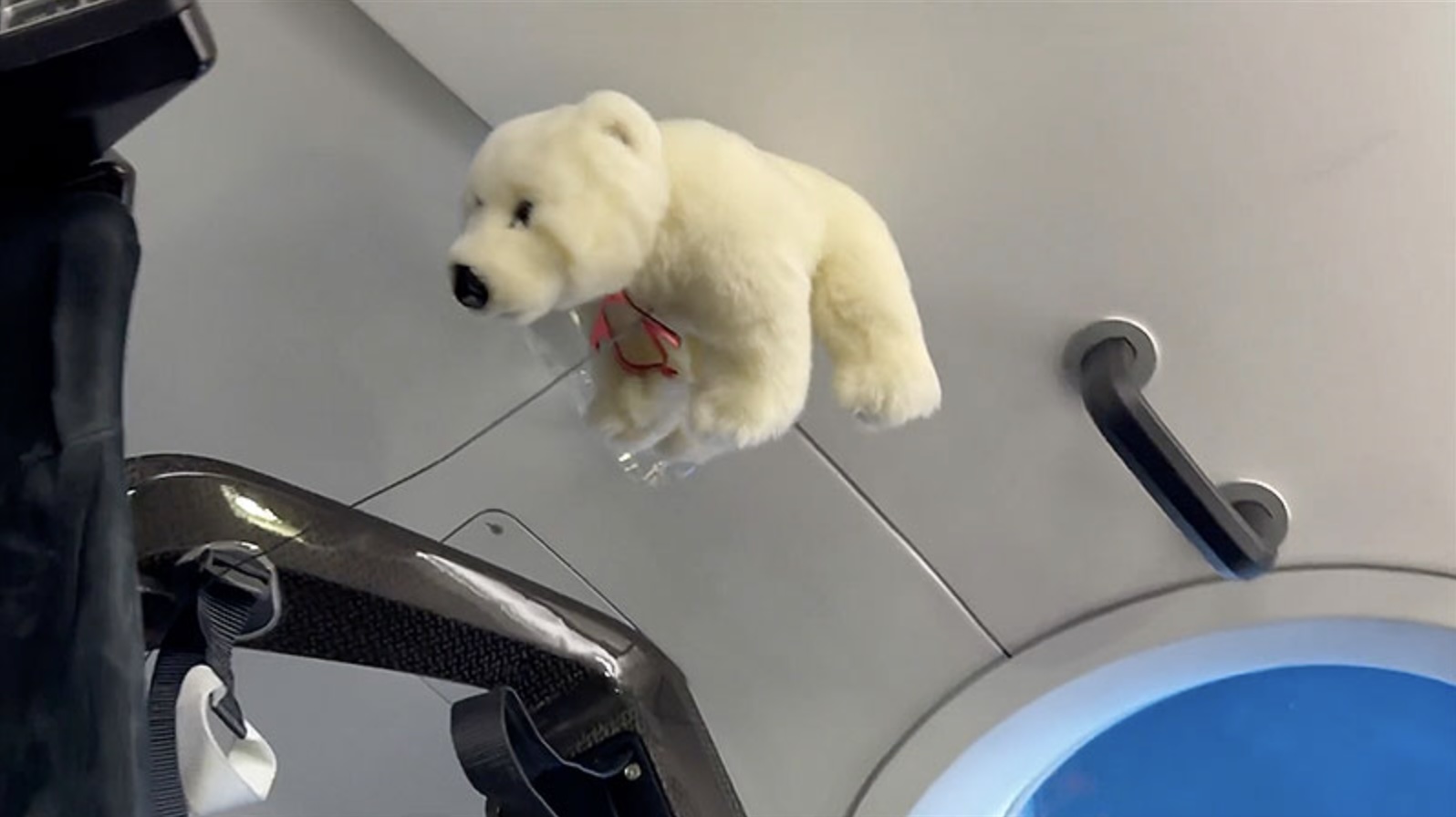 Tyler the Polar Bear Floats into History on Fram2 Polar Orbit Flight Tyler the Polar Bear Floats into History on Fram2 Polar Orbit Flight