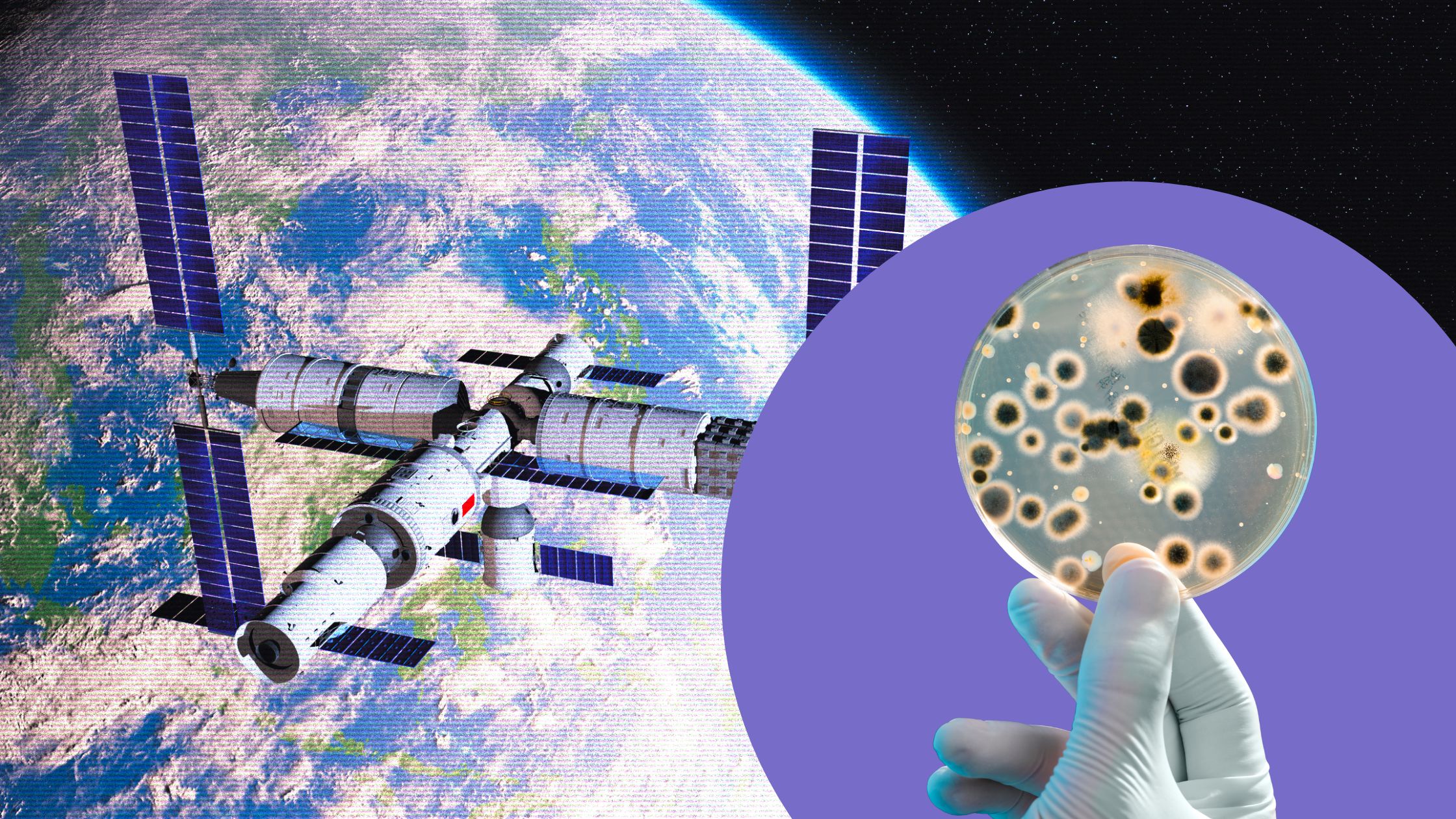 bacteria found on the China’s Space Station